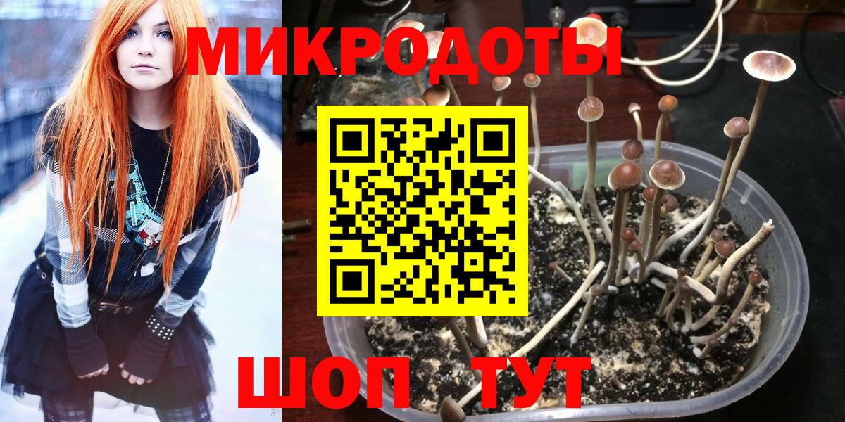 Галлюциногенные грибы MAGIC MUSHROOMS  Вход с VPN  Псилоцибиновые грибы GOLDEN TEACHER  Красноуфимск 